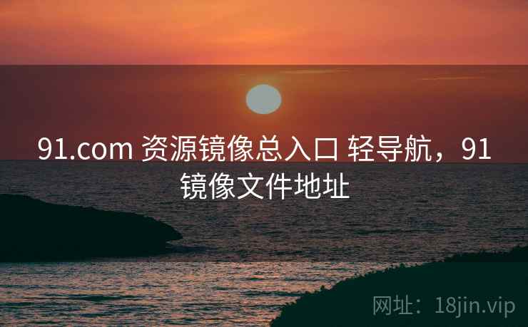 91.com 资源镜像总入口 轻导航，91镜像文件地址