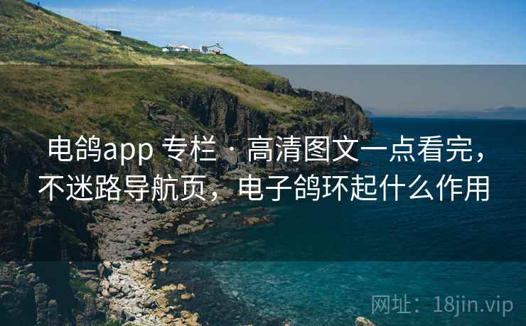 电鸽app 专栏 · 高清图文一点看完，不迷路导航页，电子鸽环起什么作用
