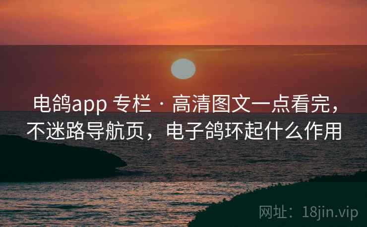 电鸽app 专栏 · 高清图文一点看完，不迷路导航页，电子鸽环起什么作用