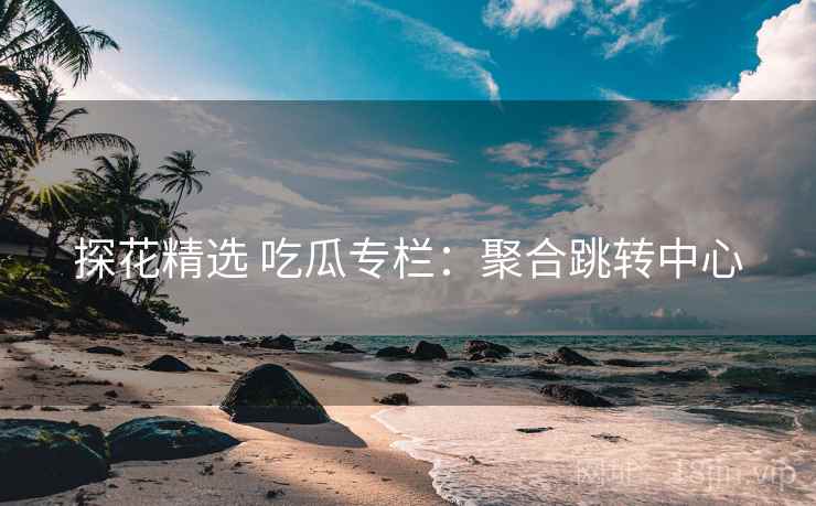探花精选 吃瓜专栏：聚合跳转中心