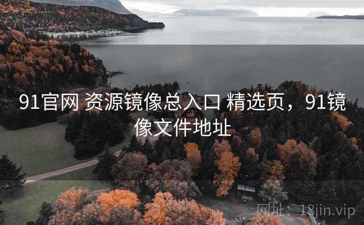 91官网 资源镜像总入口 精选页，91镜像文件地址