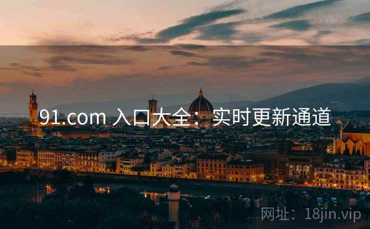 91.com 入口大全：实时更新通道