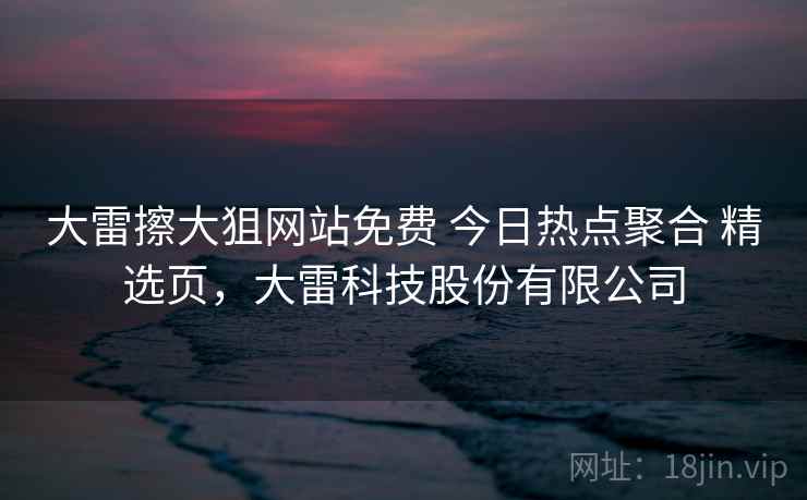 大雷擦大狙网站免费 今日热点聚合 精选页，大雷科技股份有限公司